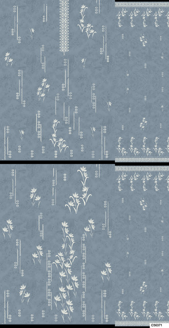 C56371 PP AB.jpg