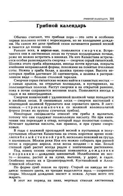 1989-228