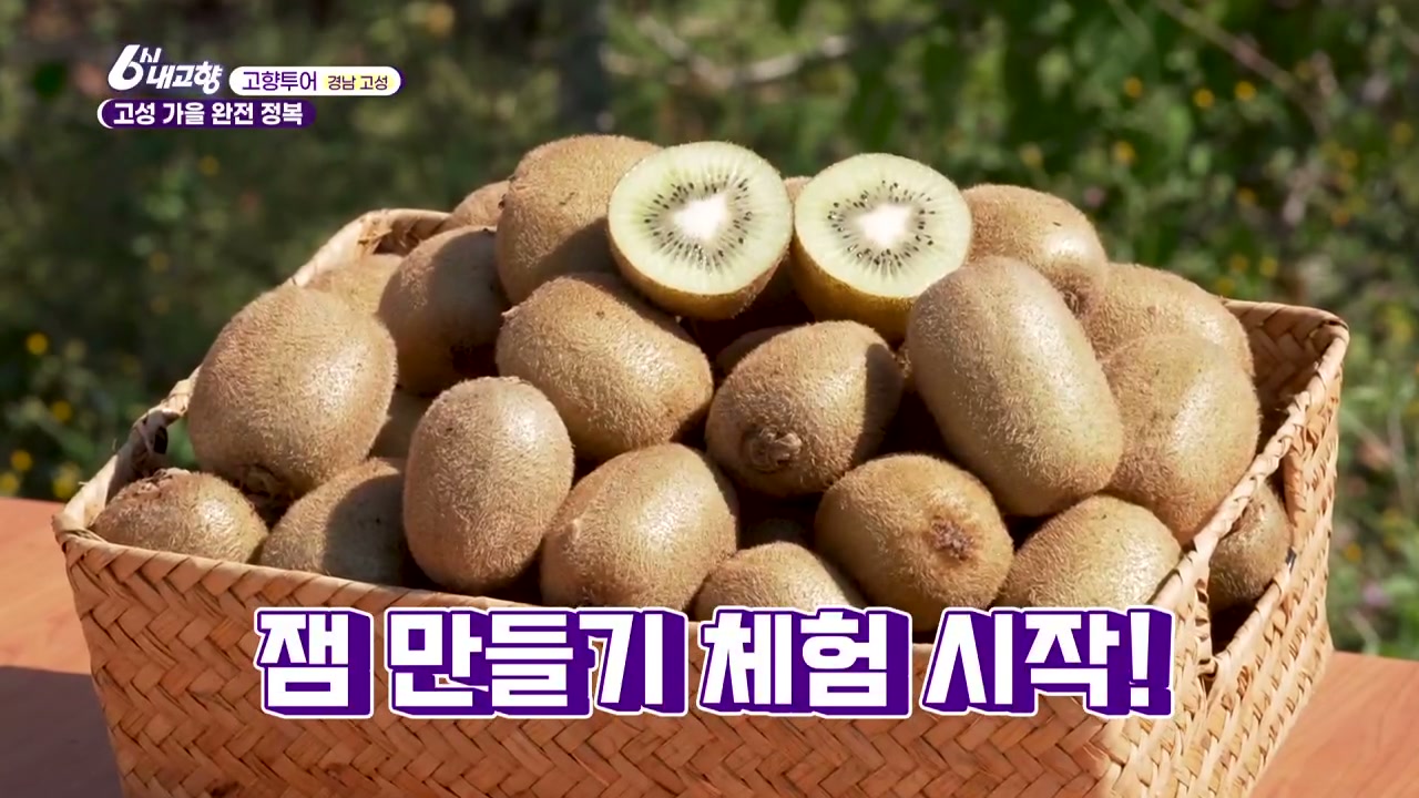 6시내고향 고향투어 고성 참다래 추가 캡처 4
