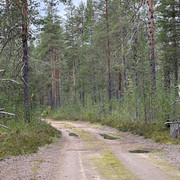 IMG 5693