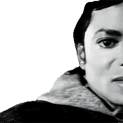 MJscust.gif
