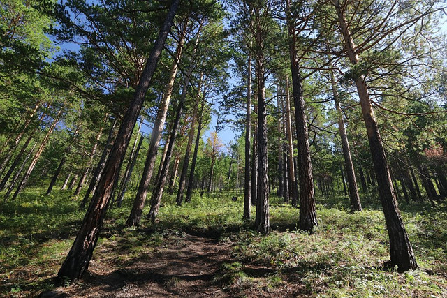 IMG 0358.jpg