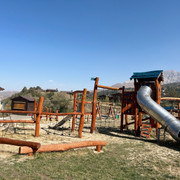 IMG 6250