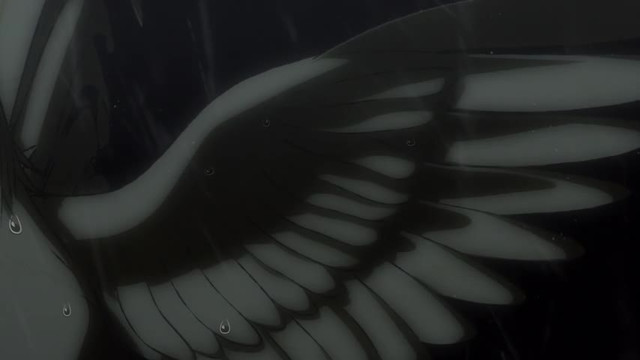 607234 1.jpg