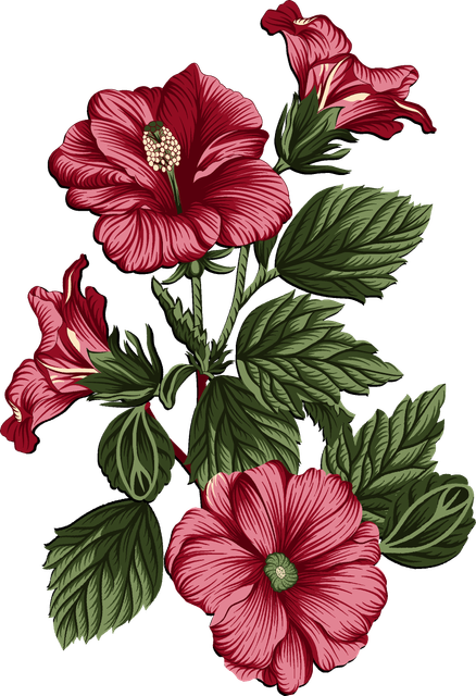 636529dea1c5696eb6896c239b6ac0e1.png