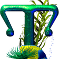 T 19