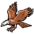 bird21