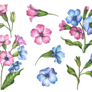 shutterstock 1660489135