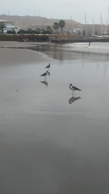 IMG 20260721 WA0029.jpg