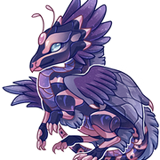 Selkie-small
