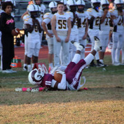 IMG-1510