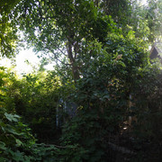 1002a0268m