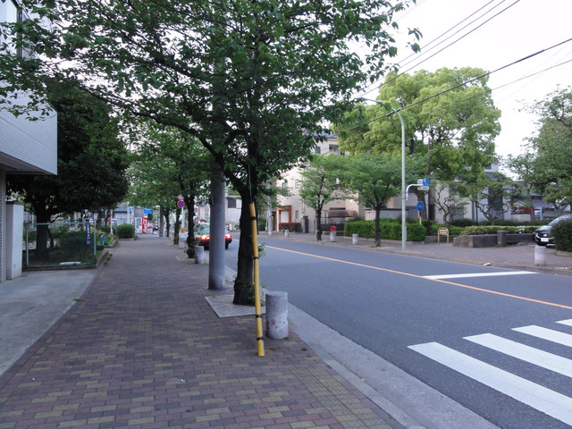 2011-04-30-161.jpg