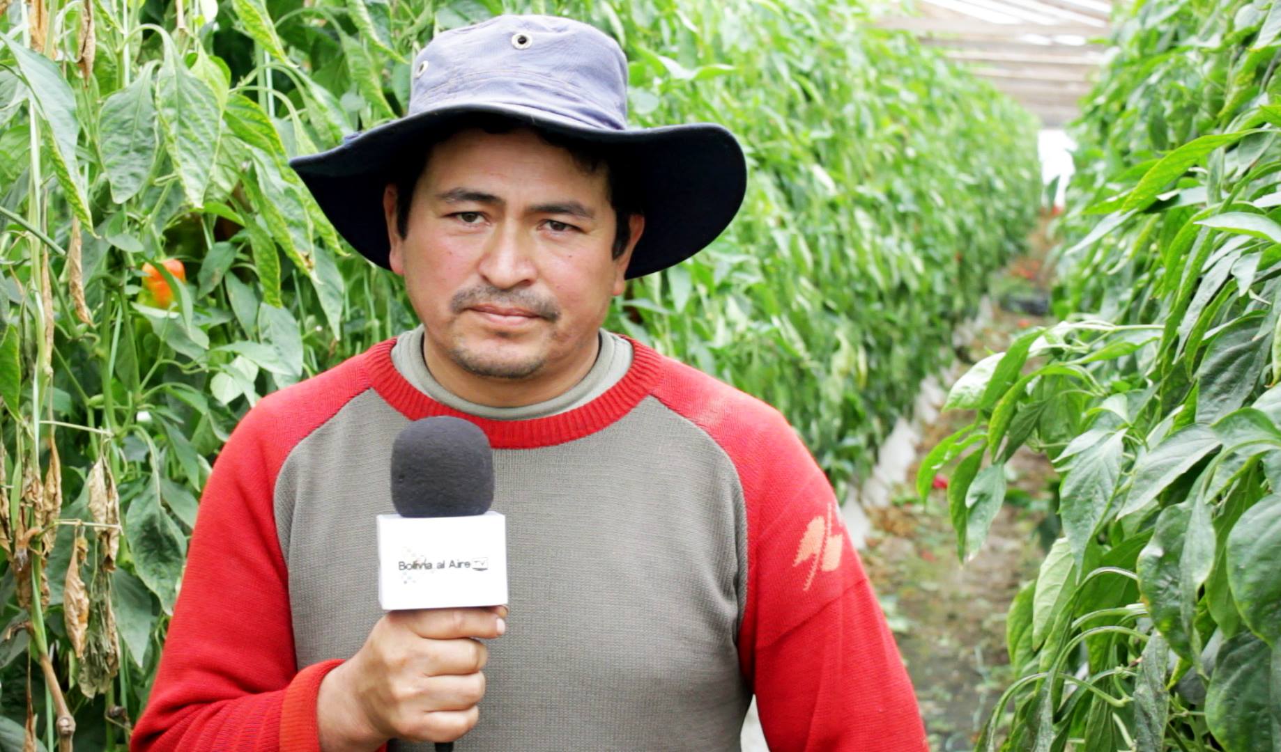 AGRICULTORES BOLIVIANOS EN ARGENTINA.jpg AGRICULTORES BOLIVIANOS EN ARGENTINA.jpg
