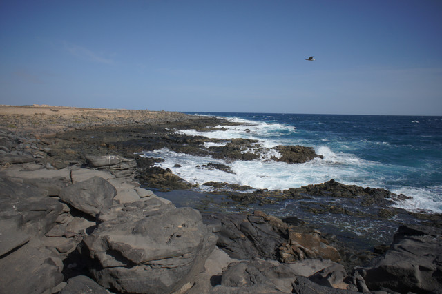 DSC00989