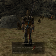 Walkthrough 66