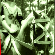 krzyzacy-19