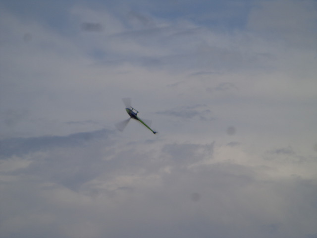 DSC00931.jpg