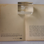 IMG-0319