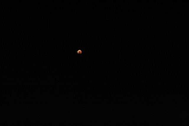 IMG-6695.jpg