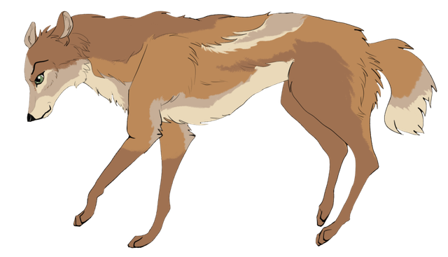 Terwyn-Ref2.png