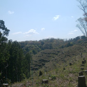 DSC-0096