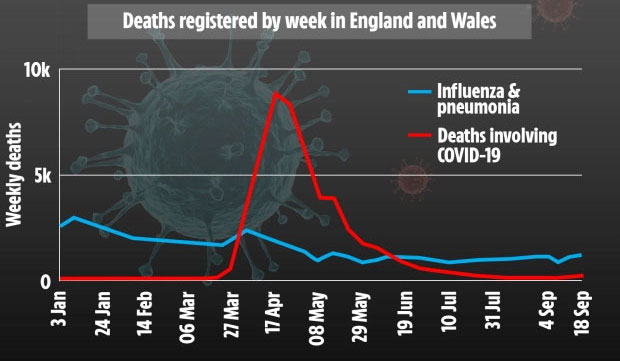FLU.jpg