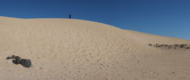 DSCF8584.jpg