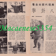 電視週刊#3 P40-41 好功夫專欄．用現代眼光去看八卦拳