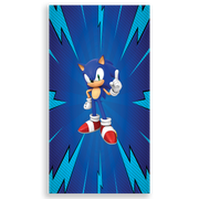 303984-Sonic