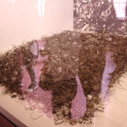 IMG-5824