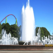 IMG-1617