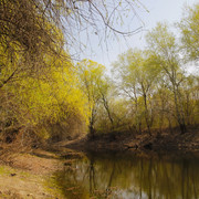 100c000957m