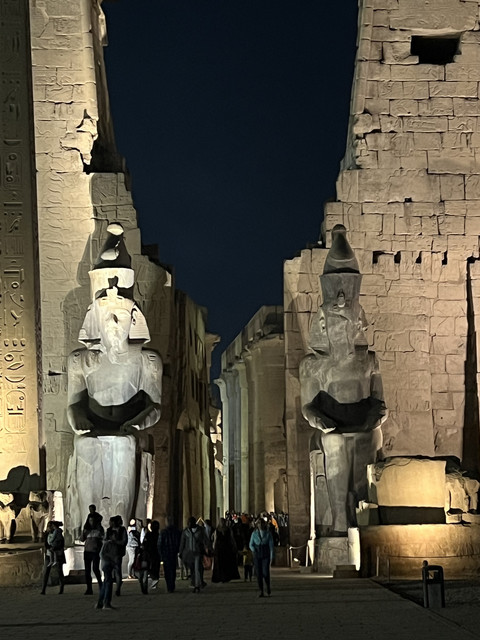 IMG-0784