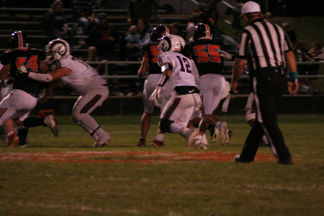 IMG-7392.jpg