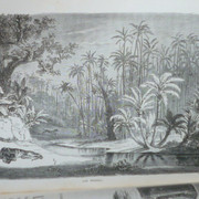 P1110237