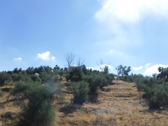 DSCF6364.jpg