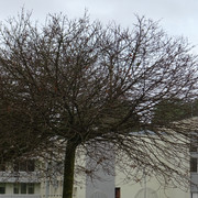 DSC00008