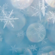 snowflakes-by-woolfres-11