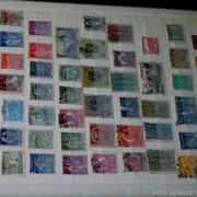IMG-6904