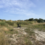 IMG-0984