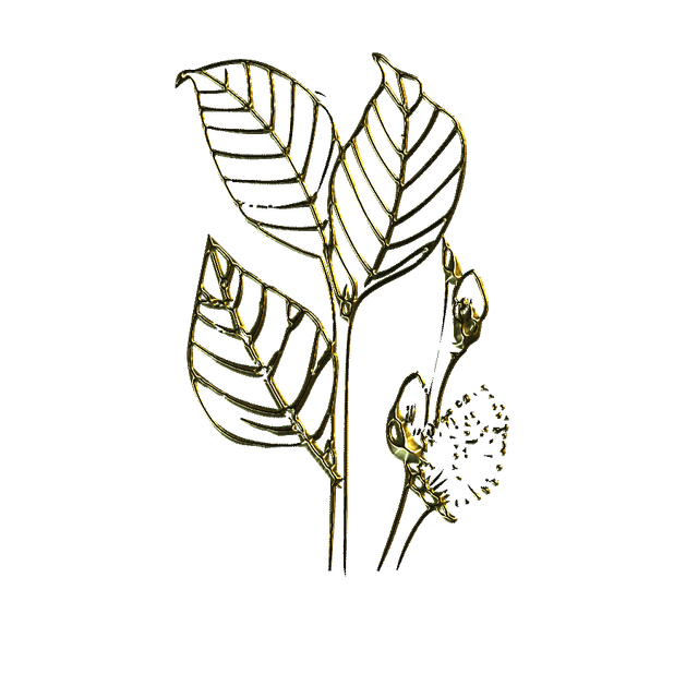 MS-gold-element-1.png