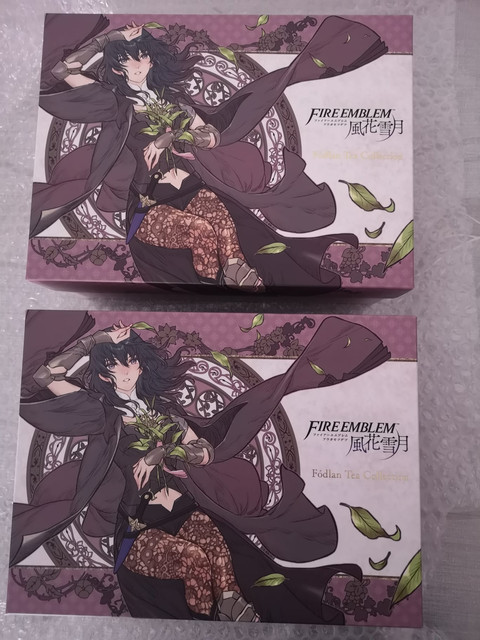 fe13