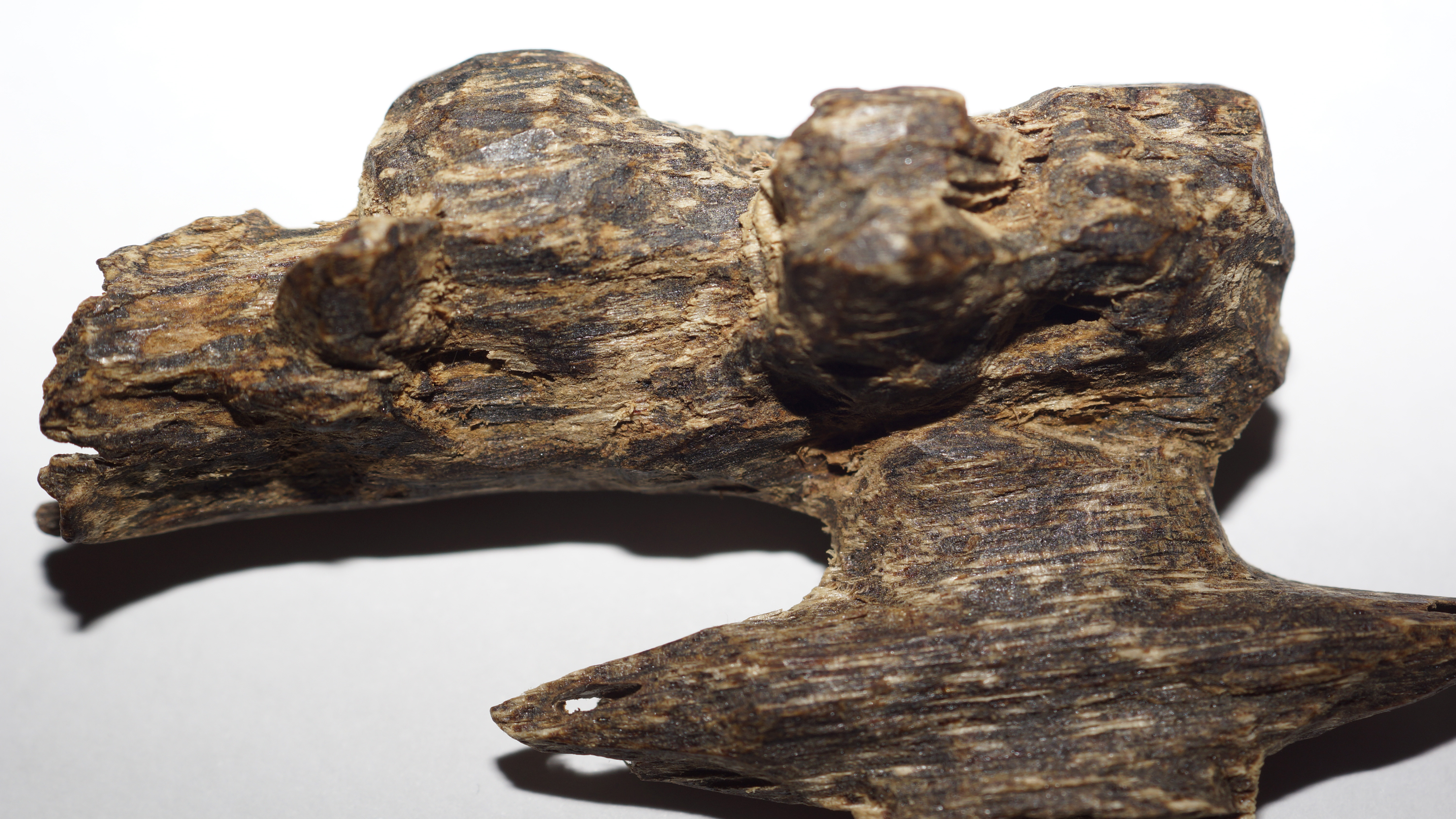 [Ouddict.com] Oud Wood
