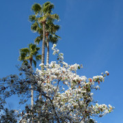 P1090878