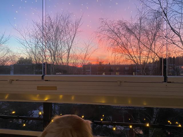 4-E55-B879-4-EDA-457-F-B8-A2-6-AAD644-B1