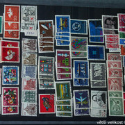 IMG-3318