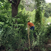 IMG-4384