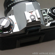 IMG-1901