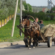 DSC00049-5